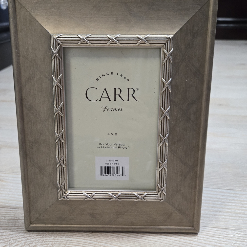 Carr 4x6 Picture Frame